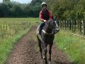 17th August 2007 - Heart of England Way - Racehorse and Jockey near Horsley Brook Farm