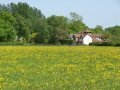 13th May 2008 - Heart of England Way - Buttercup Field by Tut's Cottage
