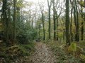 17 November 2002 - Walk 533 - Offa's Dyke Path - Highbury Plain Woods