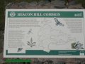 13th April 2003 - Walk 544 - Glyndwr's Highway - Beacon Hill Common Information Board