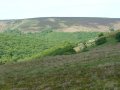 23rd May 2004 - Quantock Hills - Longstone Hill from Black Hill