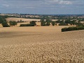 9th August 2011 - View from near Catesby House