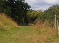9th August 2011 - Horse near Old Railway Tunnel Air Shaft