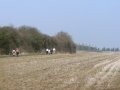 18th March 2009 - BT Group Walk - North to Faxton Ancient Village